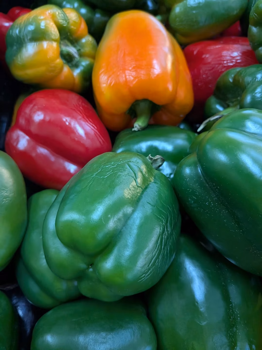 Close-up of red, orange and green capsicums