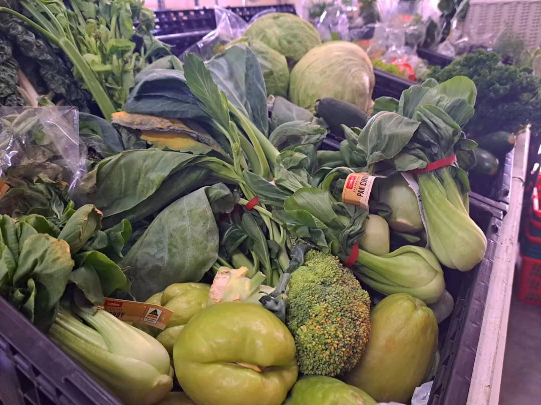 Asian greens, bok choy and bitter melon in a produce chiller