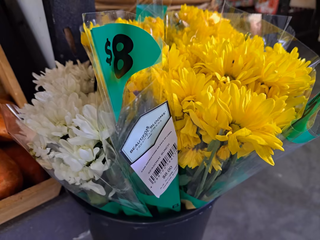 Bunch of yellow and white chrysanthemums