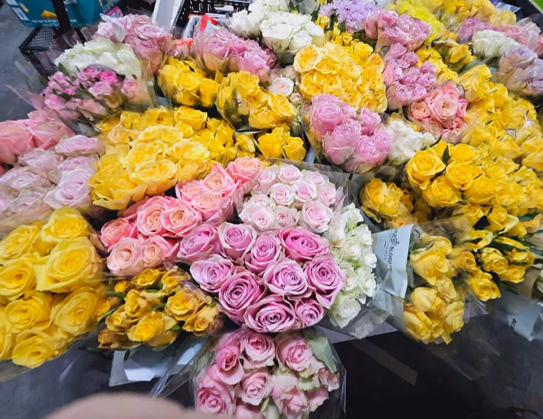 Buckets of pink and yellow roses