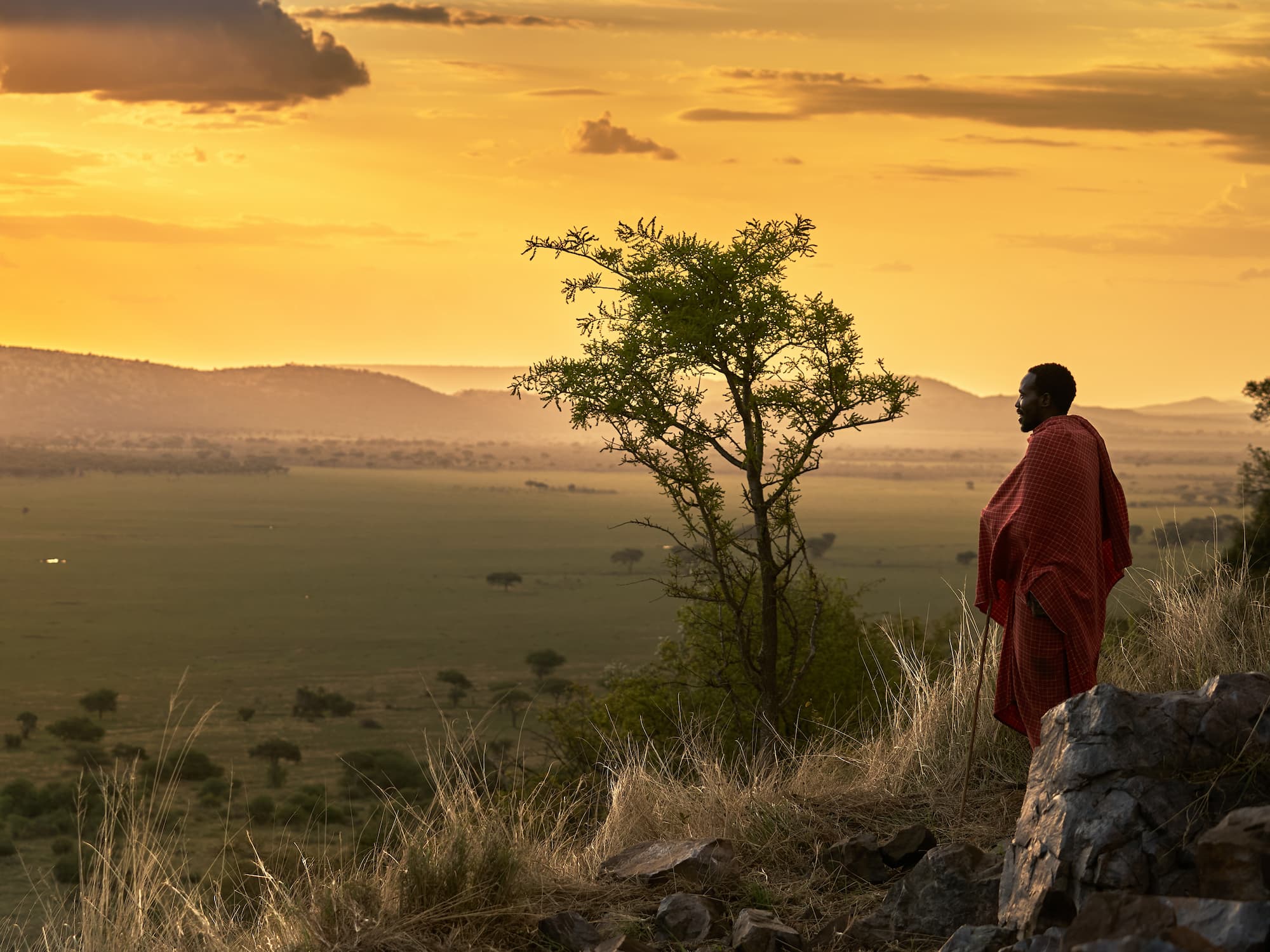 A breakfast laid out in the bush as the Serengeti light changes
