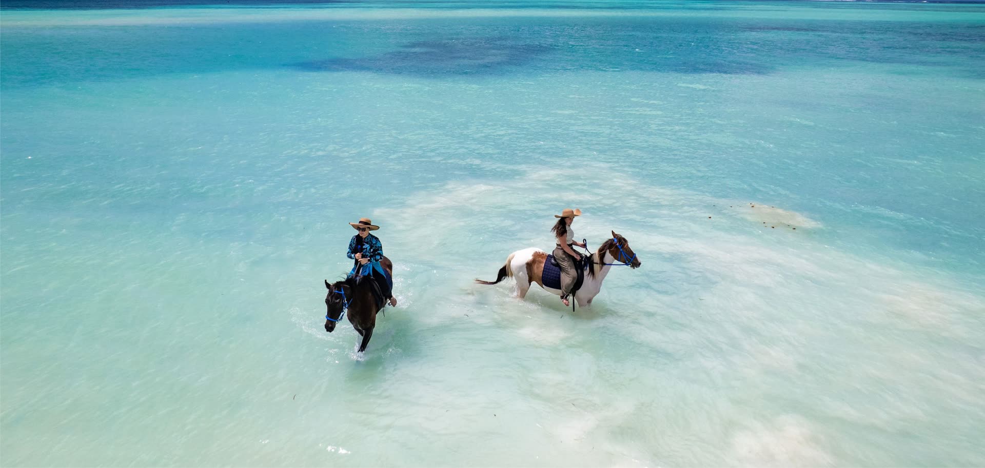 Riders swimming with horses through the turquoise shallows of the Indian Ocean off Zanzibar