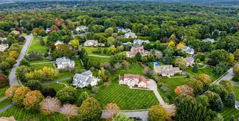 Aerial view of houses among trees