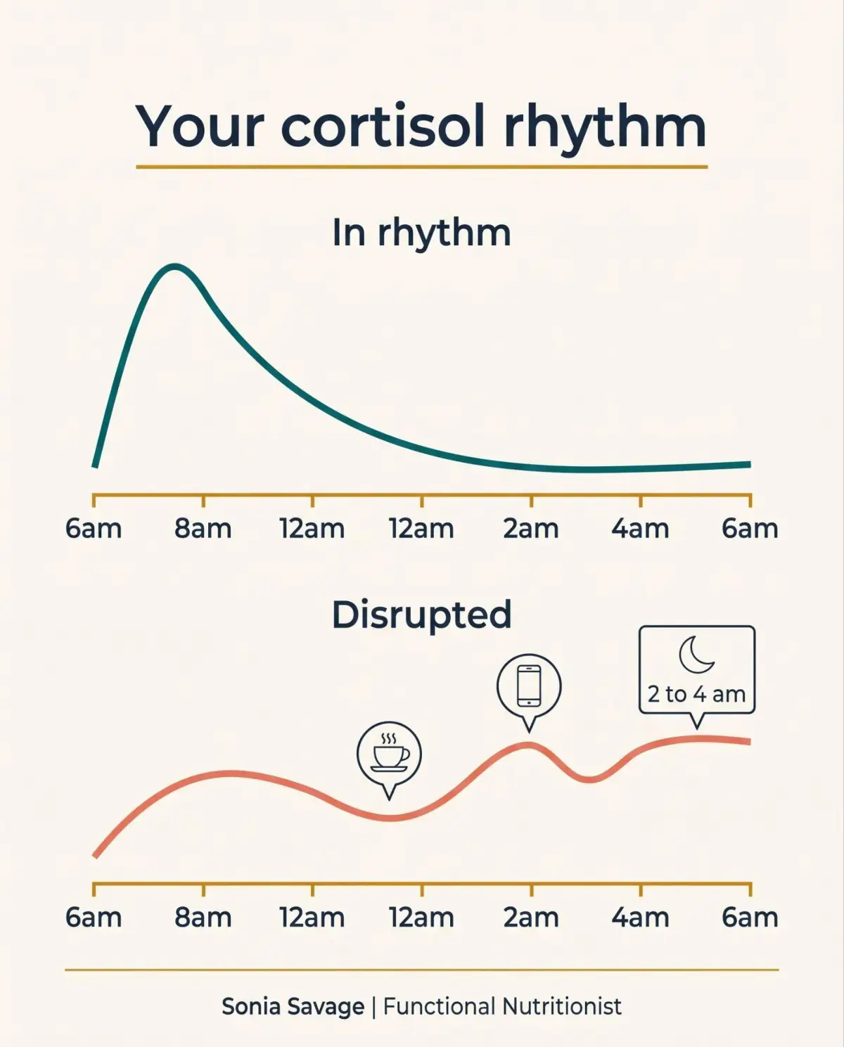 Infographic comparing a healthy cortisol rhythm, high in the morning and low at night, with a disrupted rhythm that stays elevated in the evening.