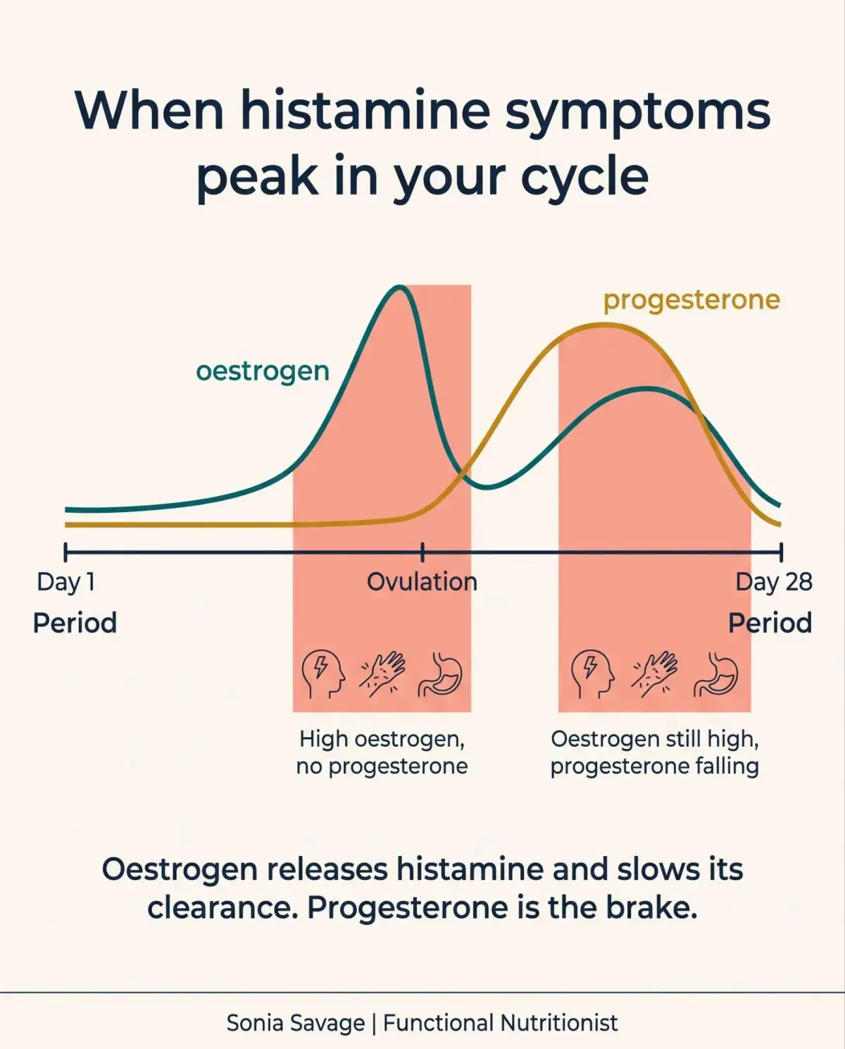 Infographic showing oestrogen and progesterone across a 28-day cycle, with histamine symptom windows highlighted at ovulation and before the period.