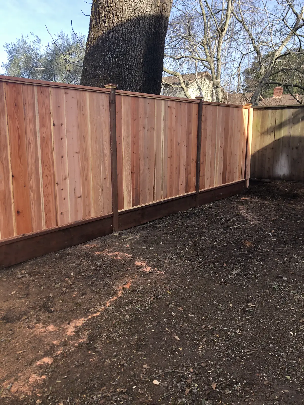 Redwood board-and-batten fence with capped posts and a kickboard along a bare dirt backyard under a large oak