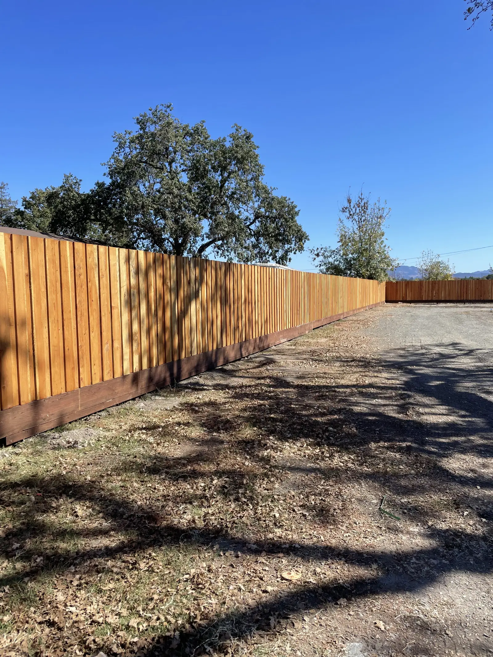 Long redwood board fence with a dark kickboard along a gravel drive under a large valley oak