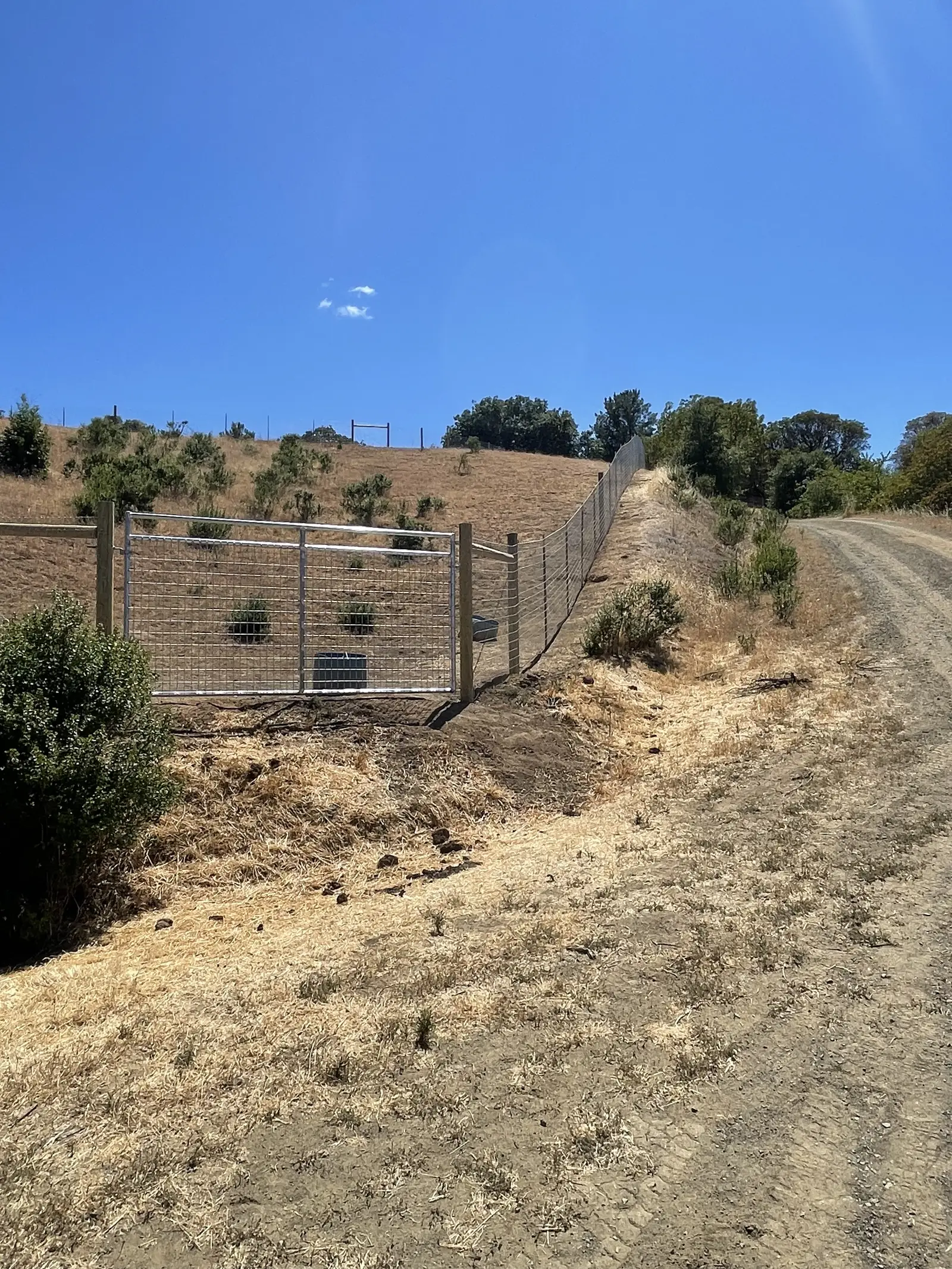 Tall welded-wire deer fence with a wide galvanized wire gate climbing a dry hillside beside a gravel road