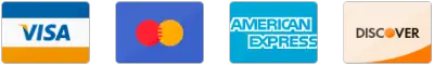 Accepted payment methods for Dalmatia AI Systems Essential Plan checkout