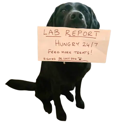 Black dog with a lab report sign
