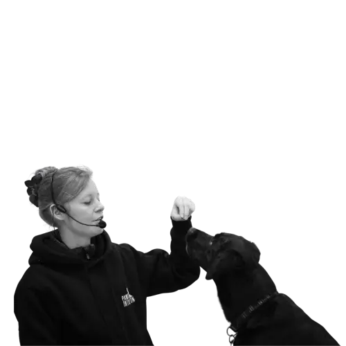 Leanne training a black dog