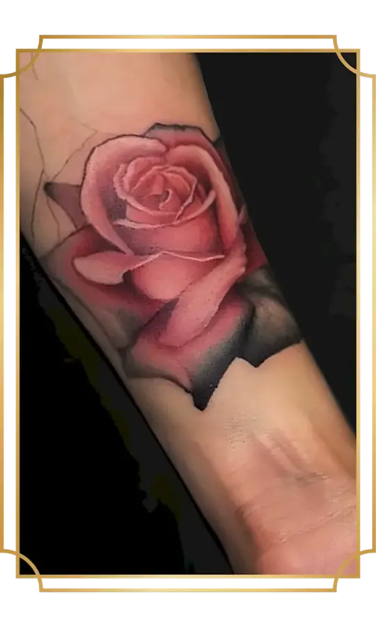 Color-realism pink rose tattoo on the inner forearm with layered petals, smooth gradients and deep shadowing by Alek the Saint
