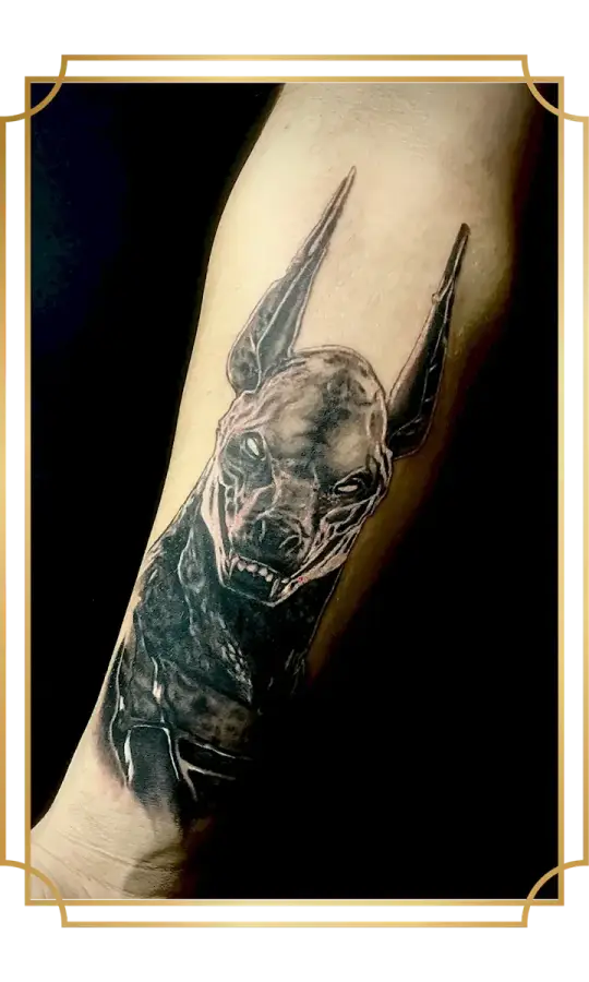 Black and gray realism anubis portrait tattoo on the forearm