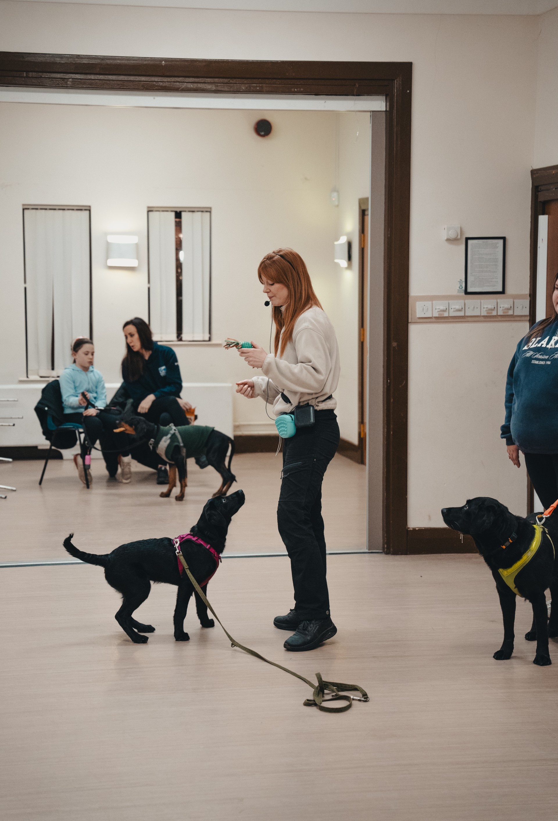 Puppy training indoors