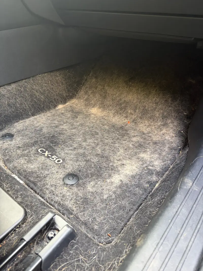 Mazda CX-50 floor mat covered in white dog hair
