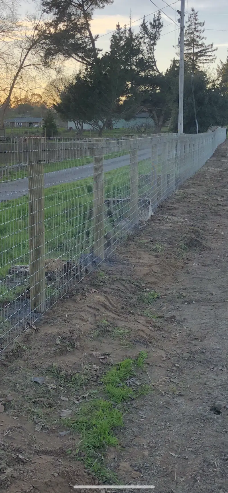 Woven-wire field fence on wooden posts with a top board along a freshly graded rural property line at dusk