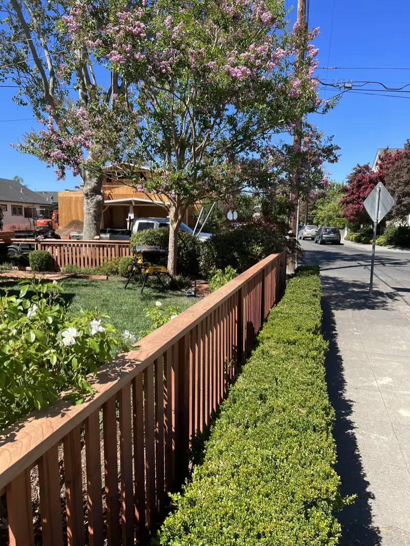 Front-yard redwood picket fence running along the sidewalk behind a clipped boxwood hedge under a flowering crepe myrtle
