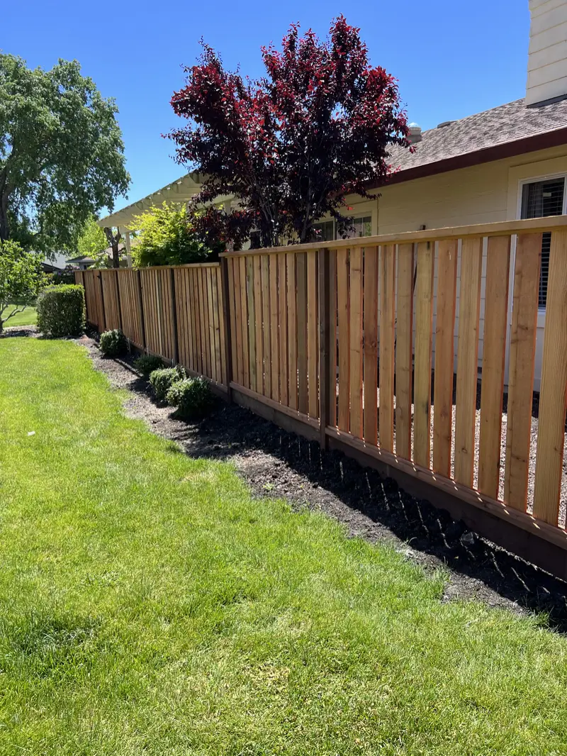 Redwood good-neighbor fence with alternating boards along a lawn and mulch strip under a red-leaf tree