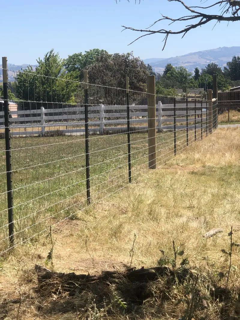 Tall woven-wire fence on steel T-posts with wood brace posts across a dry field, white rail fence and hills beyond