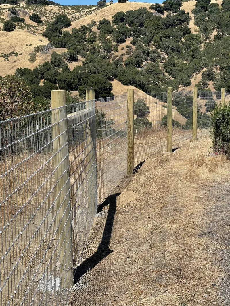 Tall welded-wire deer fence on round wood posts climbing a dry oak-studded hillside