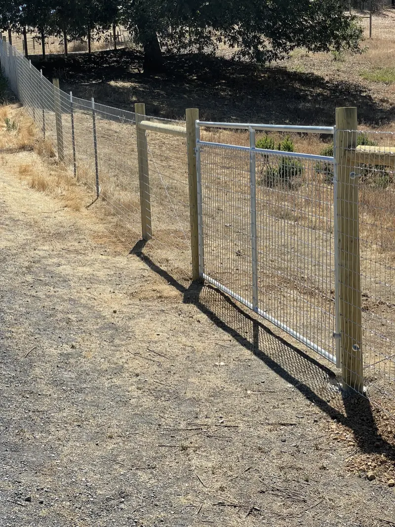 Galvanized wire-mesh ranch walk gate set between wood posts in a welded-wire fence on dry hillside land