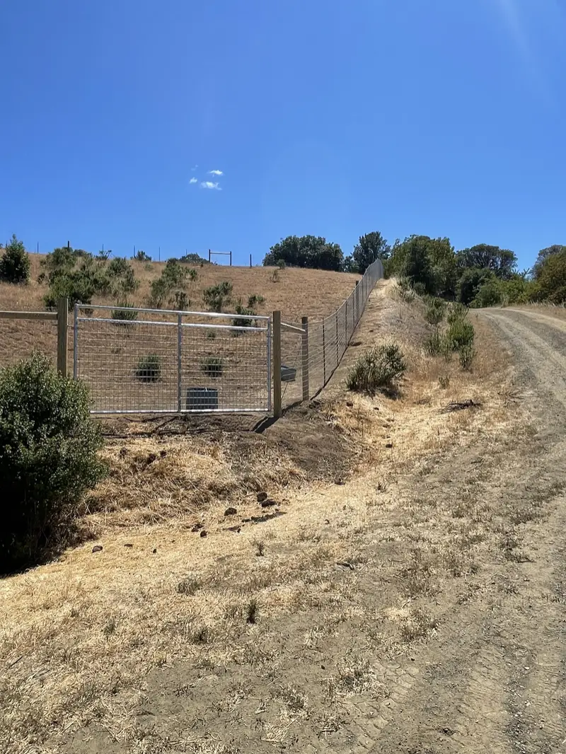 Tall welded-wire deer fence with a wide galvanized wire gate climbing a dry hillside beside a gravel road
