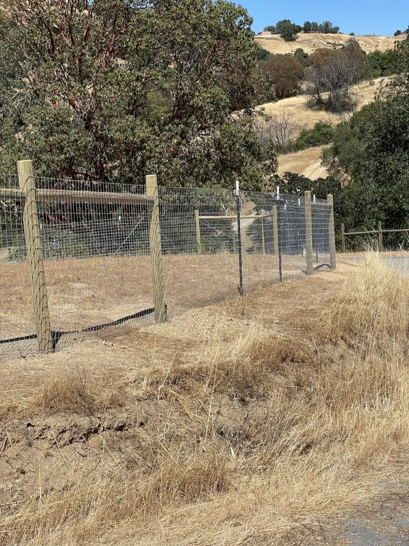 Welded-wire deer fence on wood posts with a top rail around a dry hillside clearing under a madrone
