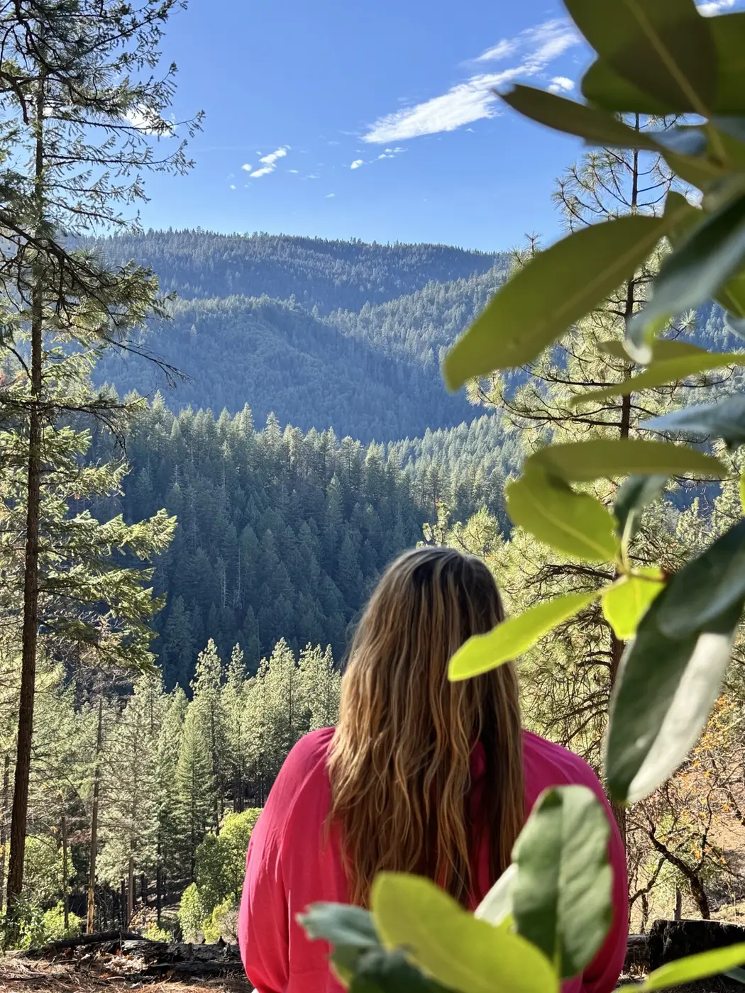 A woman looking out over a forested valley