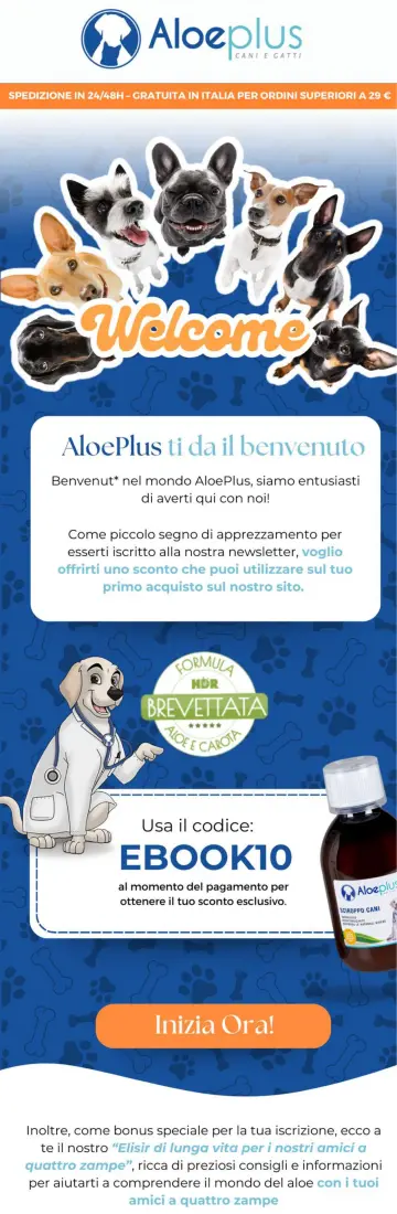 Email realizzata da Mailift per un ecommerce