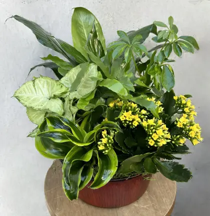 Blooming Planter