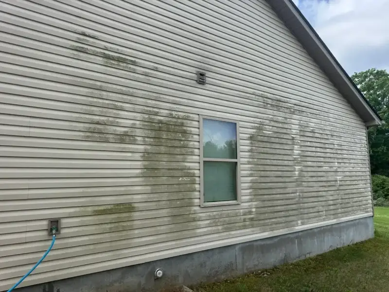 Before: green mildew and algae on vinyl siding near Goodlettsville, TN