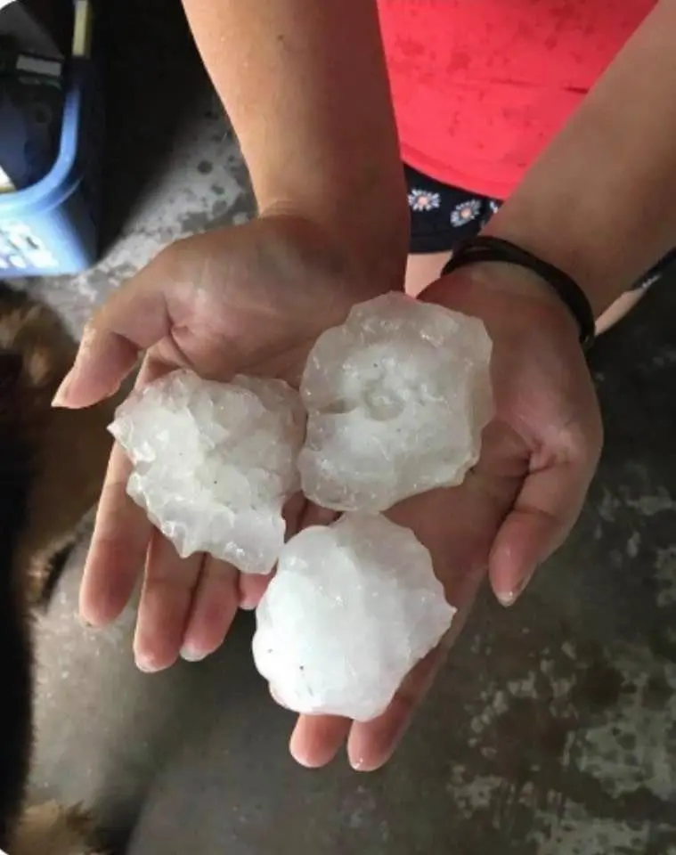 Handful of large hailstones after a storm