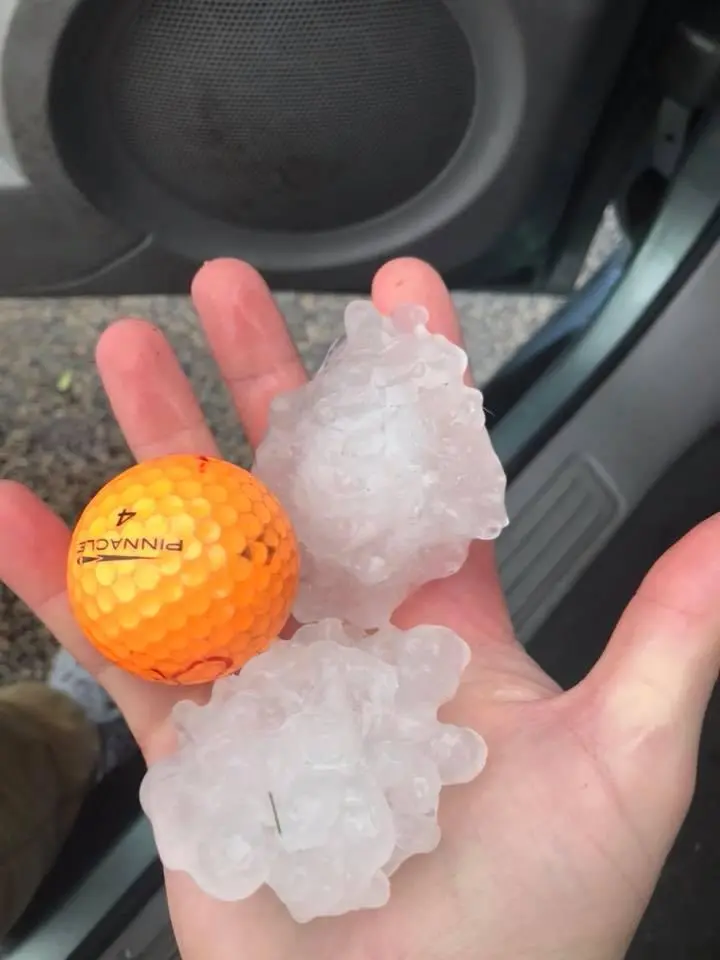 Hailstones next to a golf ball after a hailstorm