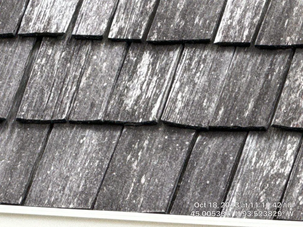 Cedar shake roof slope photographed during a Repair King inspection