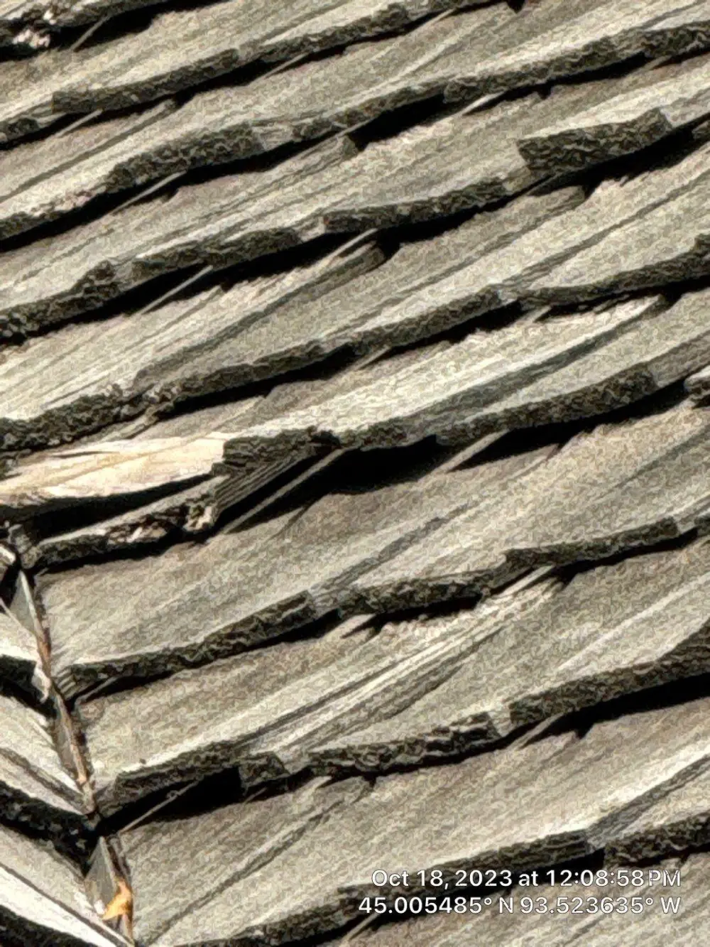 Cedar shake roof slope photographed during a Repair King inspection