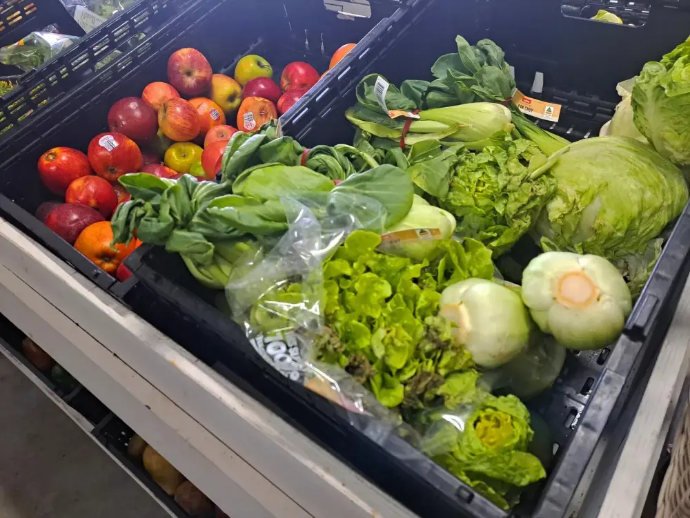 Crate of fresh lettuce, tomatoes and greens
