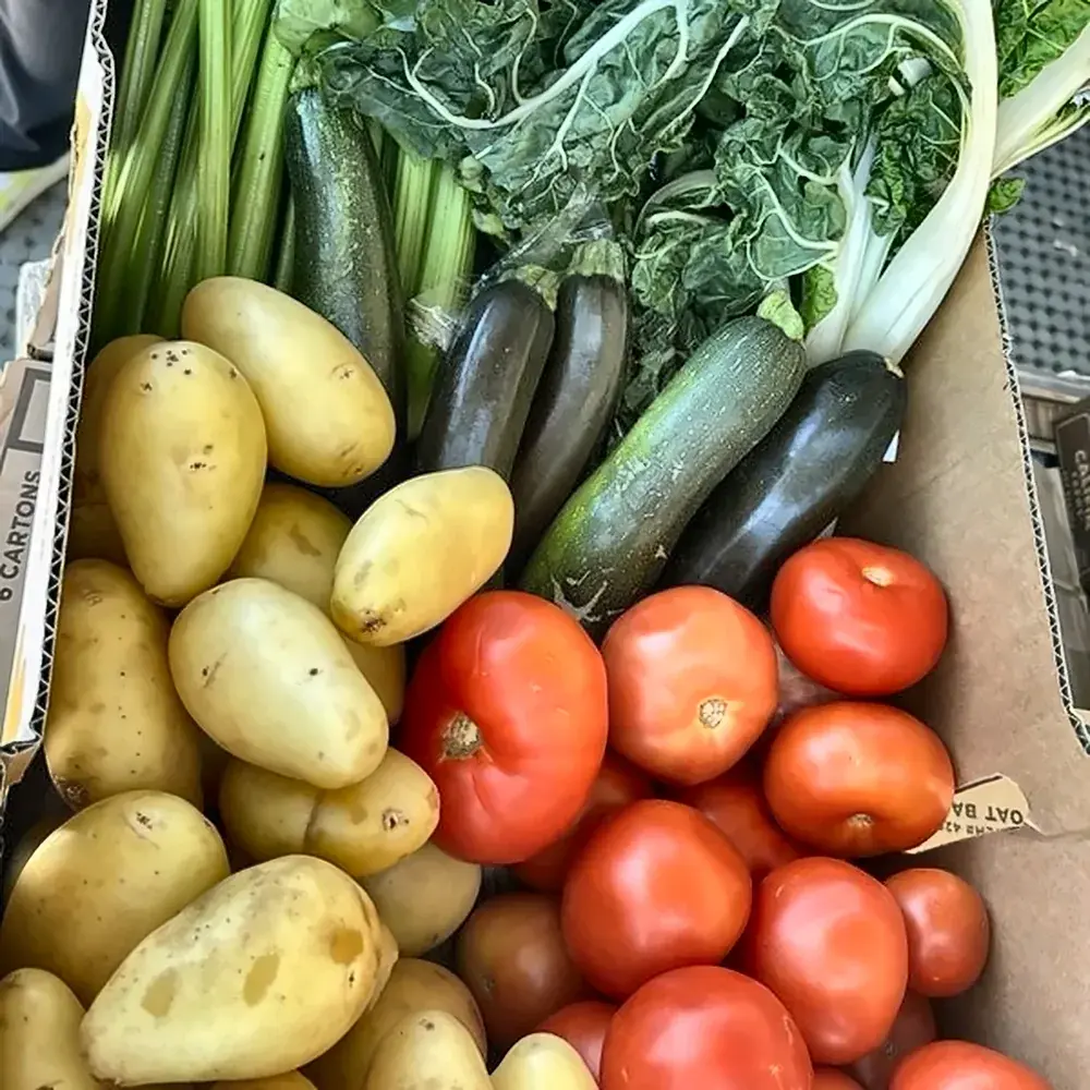 Box of fresh vegetables packed by Goodness Enterprises for local families