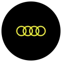 Audi power steering racks
