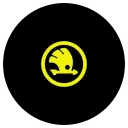 Skoda power steering racks