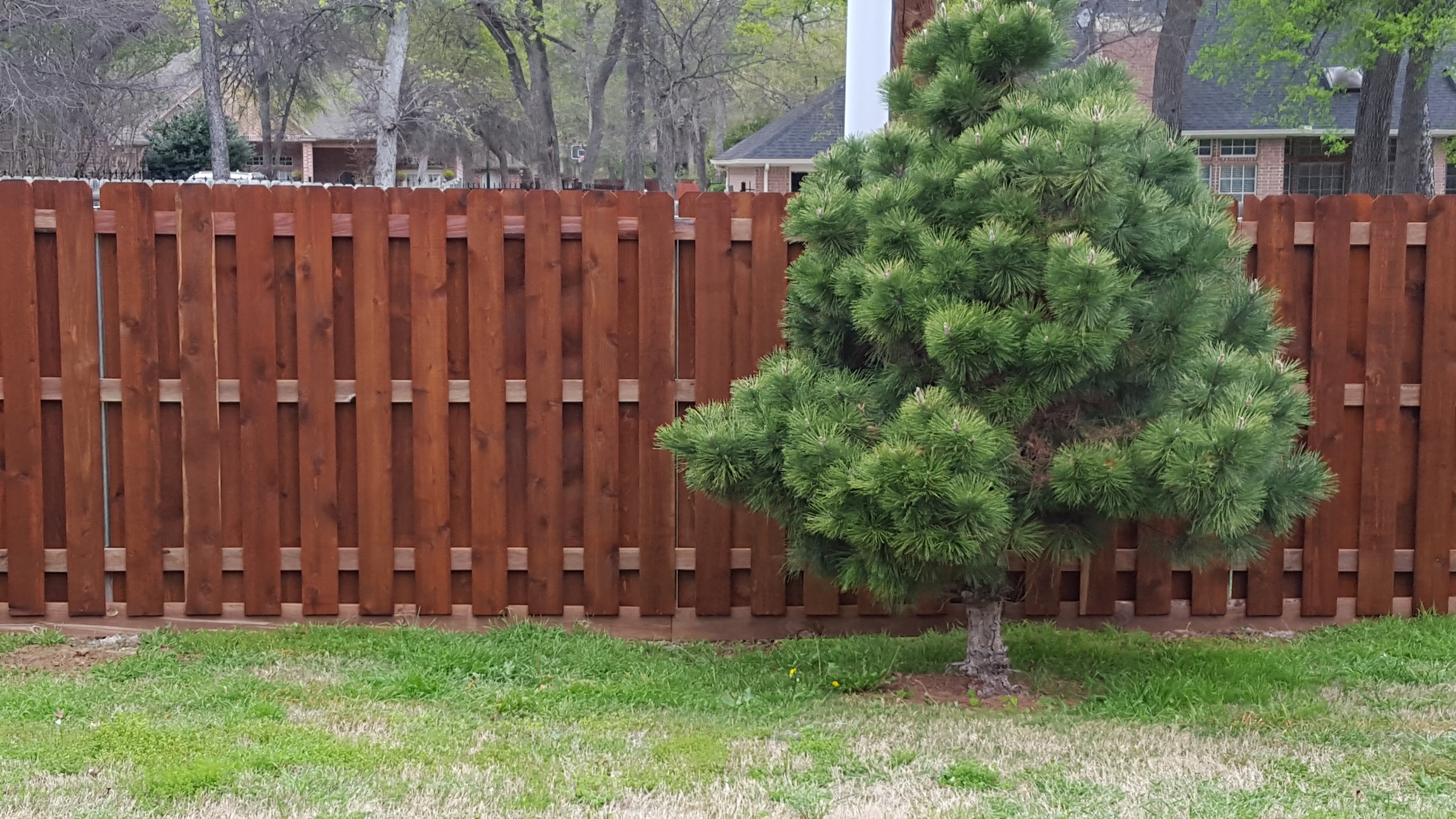 Cedar Shadowbox Fence