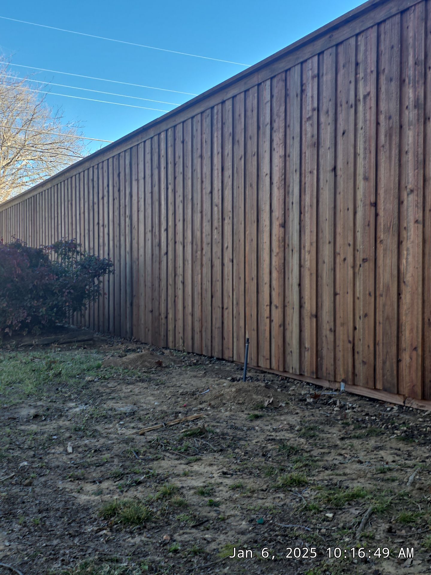 Cedar Board on Board Fence