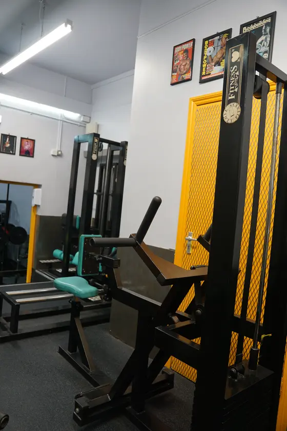 Seated Lever Row