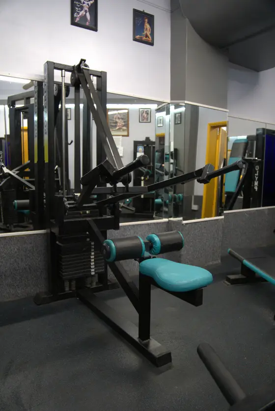Tricep Dip Machine