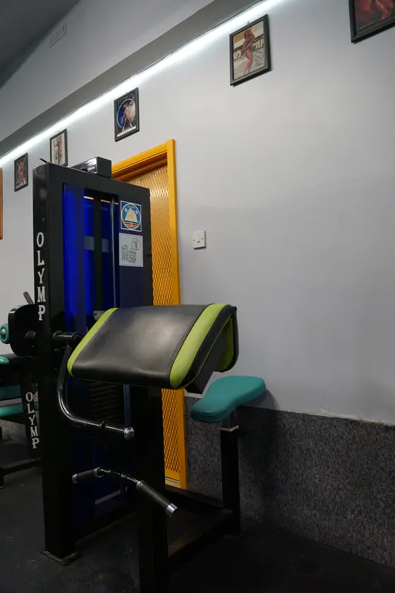 Olymp Preacher Curl