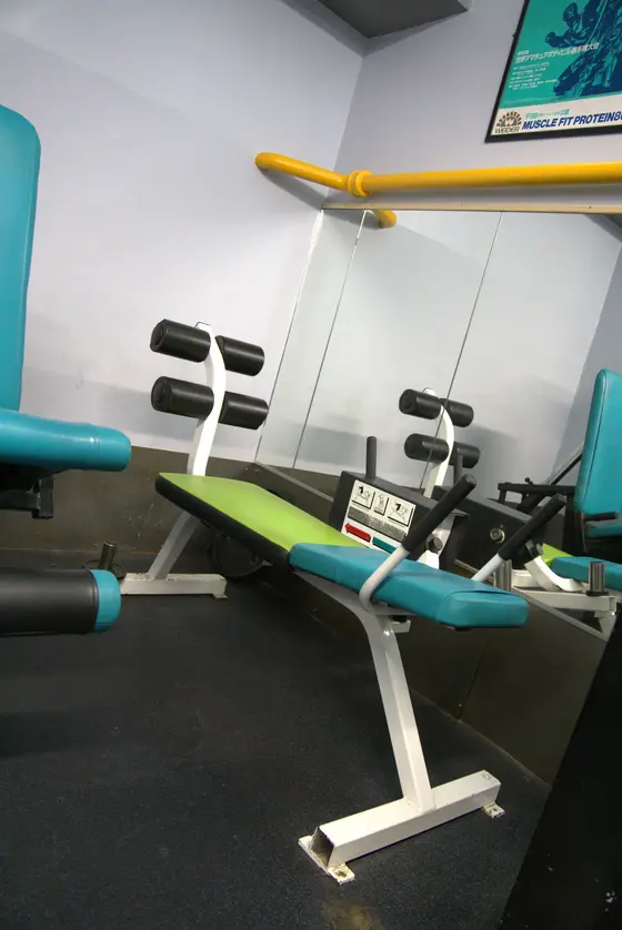 Adjustable Ab Bench