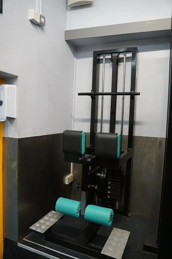 Standing Leg Curl