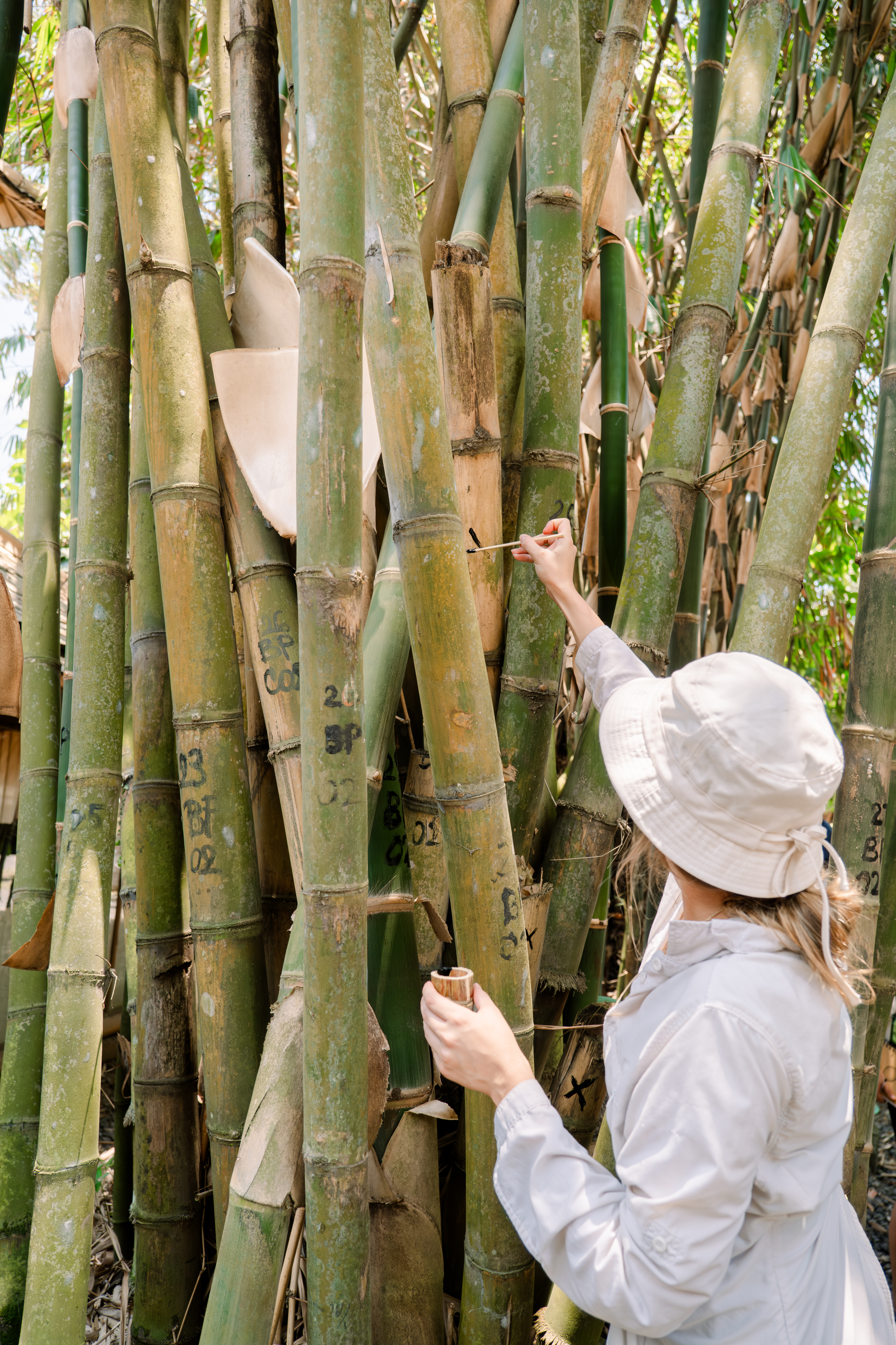 A Bamboo U group building together in Bali