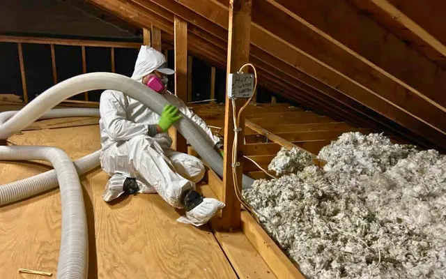 Insulation Removal & Re-Insulation