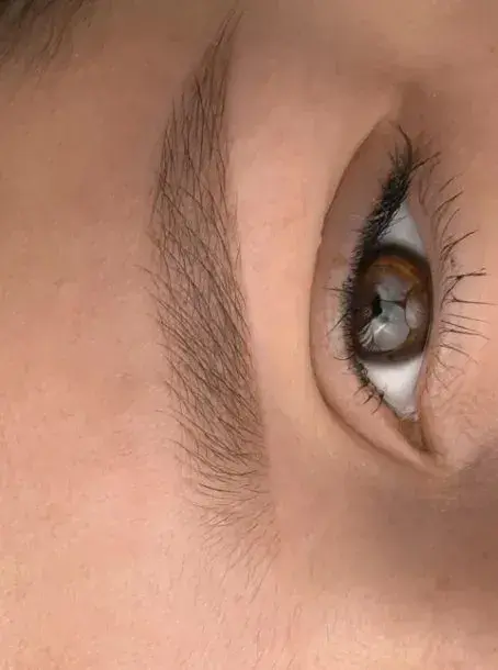 Brow Sculpt – réalisation Blush France Bordeaux