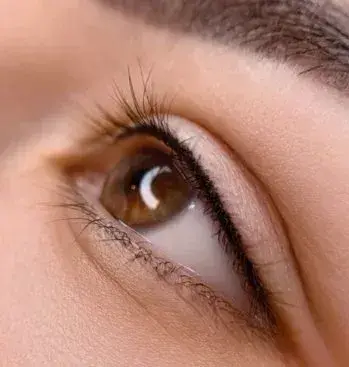 Lash Line – réalisation Blush France Bordeaux
